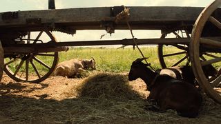 46. Великолепная семерка (2016)