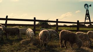 56. Великолепная семерка (2016)