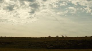 69. Великолепная семерка (2016)