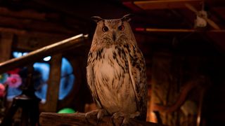 15. Санта и компания (2017)