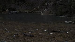 72. Братья Систерс (2018)