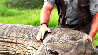 65. Мир Юрского периода (2015)