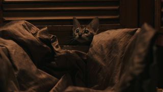 78. Богемская рапсодия (2018)