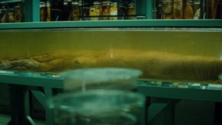 30. Мумия (2017)