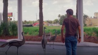 11. Проект Флорида (2017)