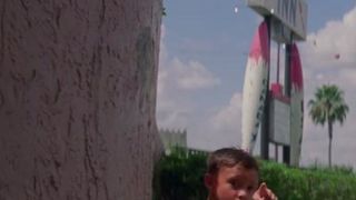 14. Проект Флорида (2017)