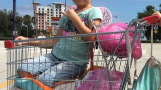 15. Проект Флорида (2017)