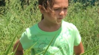 18. Проект Флорида (2017)