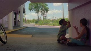 24. Проект Флорида (2017)