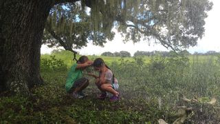 3. Проект Флорида (2017)