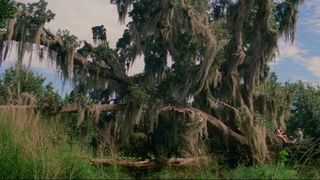 39. Проект Флорида (2017)