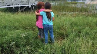 6. Проект Флорида (2017)