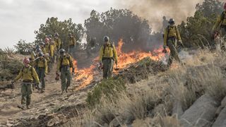 11. Дело храбрых (2017)