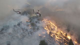 28. Дело храбрых (2017)