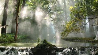 34. Парк развлечений (2019)