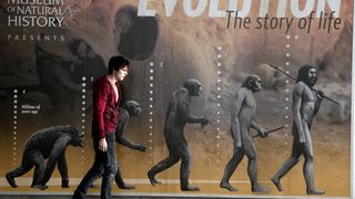 23. Тепло наших тел (2013)