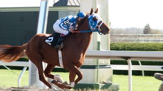 13. Чемпион (2010)