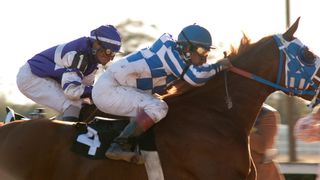 23. Чемпион (2010)