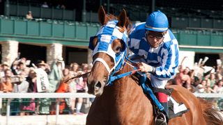 33. Чемпион (2010)