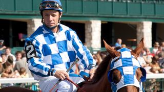 38. Чемпион (2010)