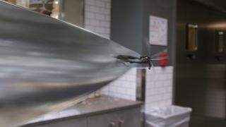 18. Человек-муравей и Оса (2018)