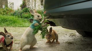 22. Кролик Питер (2018)