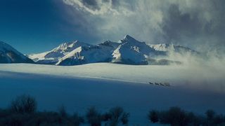 82. Омерзительная восьмерка (2015)