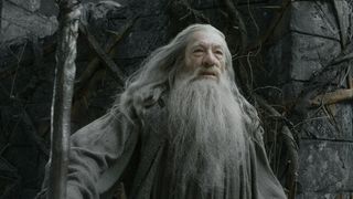 35. Хоббит: Пустошь Смауга (2013)