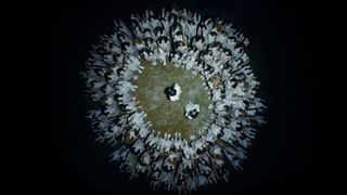 9. Гоголь. Начало (2017)