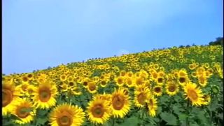 7. Земляне (2005)