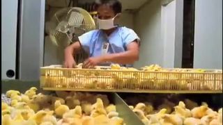 9. Земляне (2005)