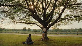 4. Убийство священного оленя (2017)