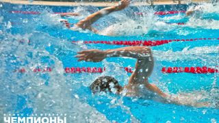 22. Чемпионы: Быстрее. Выше. Сильнее (2016)