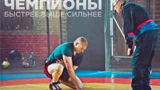8. Чемпионы: Быстрее. Выше. Сильнее (2016)