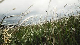 93. Переправа (2014)