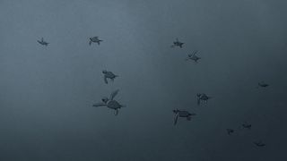 15. Красная черепаха (2016)