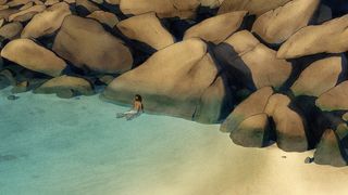 36. Красная черепаха (2016)