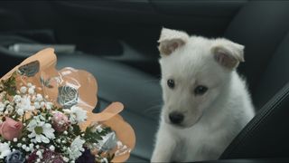 23. Счастье – это... (2015)