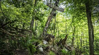 16. Кладбище домашних животных (2019)