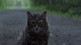 42. Кладбище домашних животных (2019)