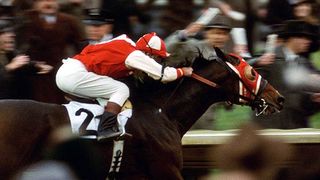 101. Фаворит (2003)