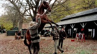 28. Фаворит (2003)