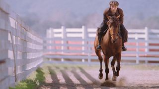 29. Фаворит (2003)