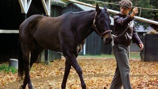 92. Фаворит (2003)