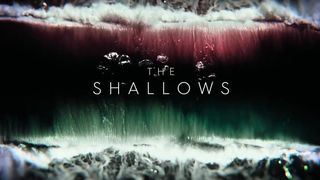 108. Отмель (2016)