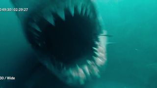 109. Отмель (2016)