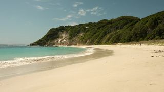 117. Отмель (2016)