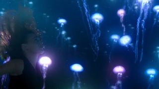 122. Отмель (2016)