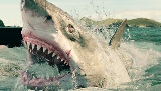 19. Отмель (2016)