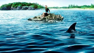 28. Отмель (2016)